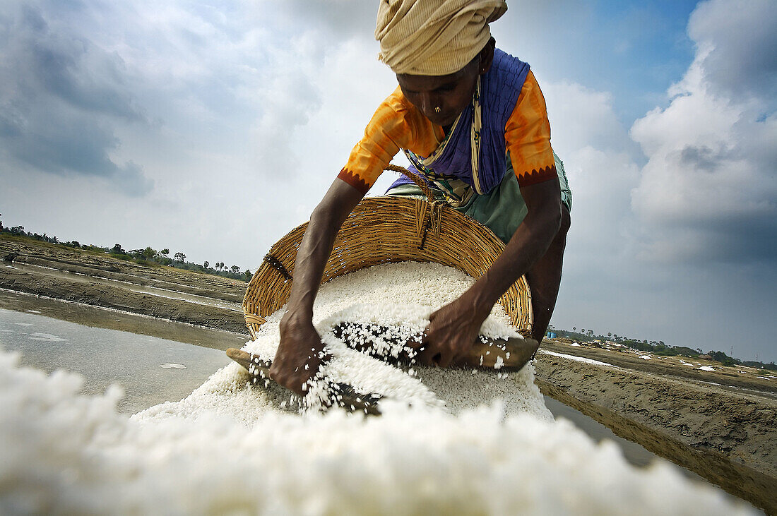 Salt factory near Mahabalipuram  Mamallapuram). Tamil Nadu, India