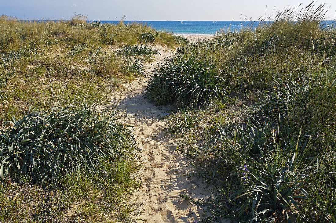 Tarifa. Cadiz province, Andalusia, Spain