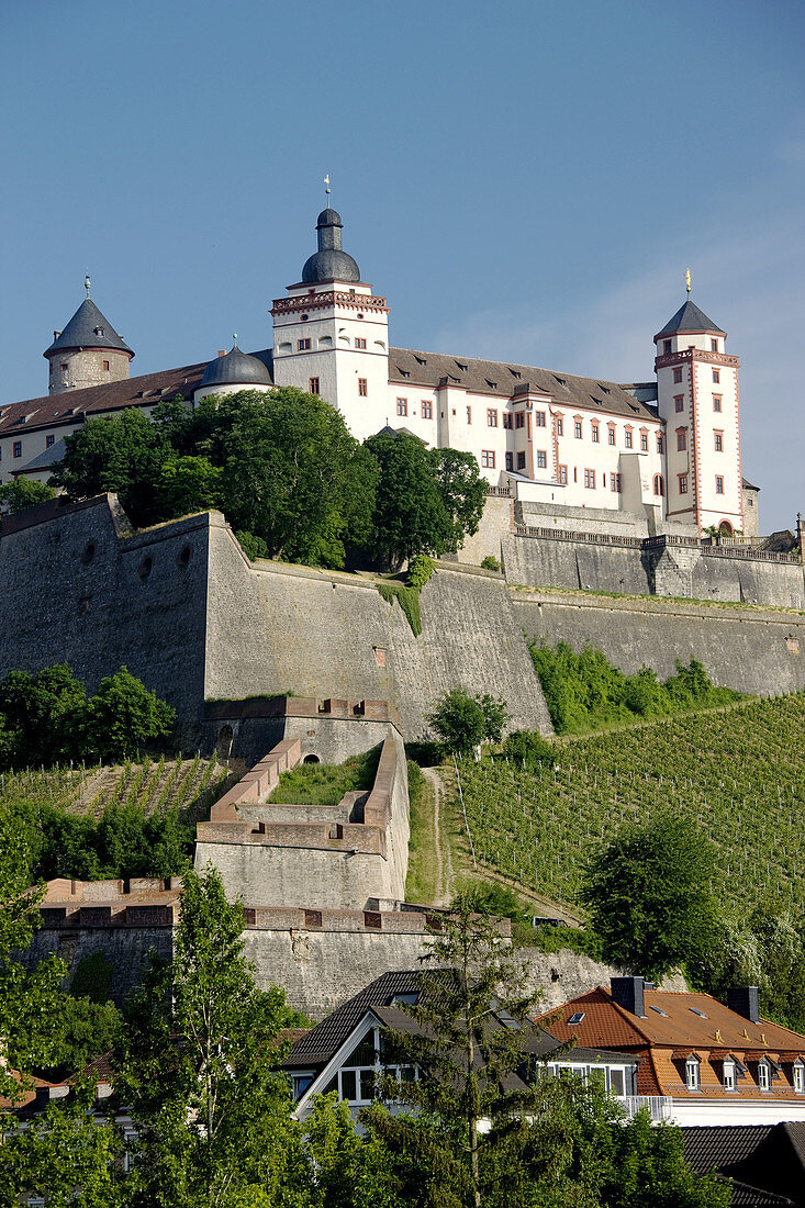 Festung Marienberg fortress in the morning, Wurzburg, Bavaria, Germany
