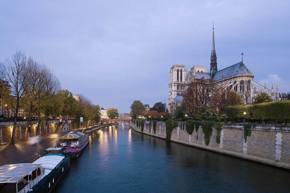 Notre-Dame cathedral at dawn, Paris, France