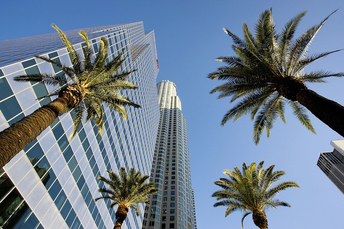 Palms and skyscrapers, downtown, Los Angeles, California, USA