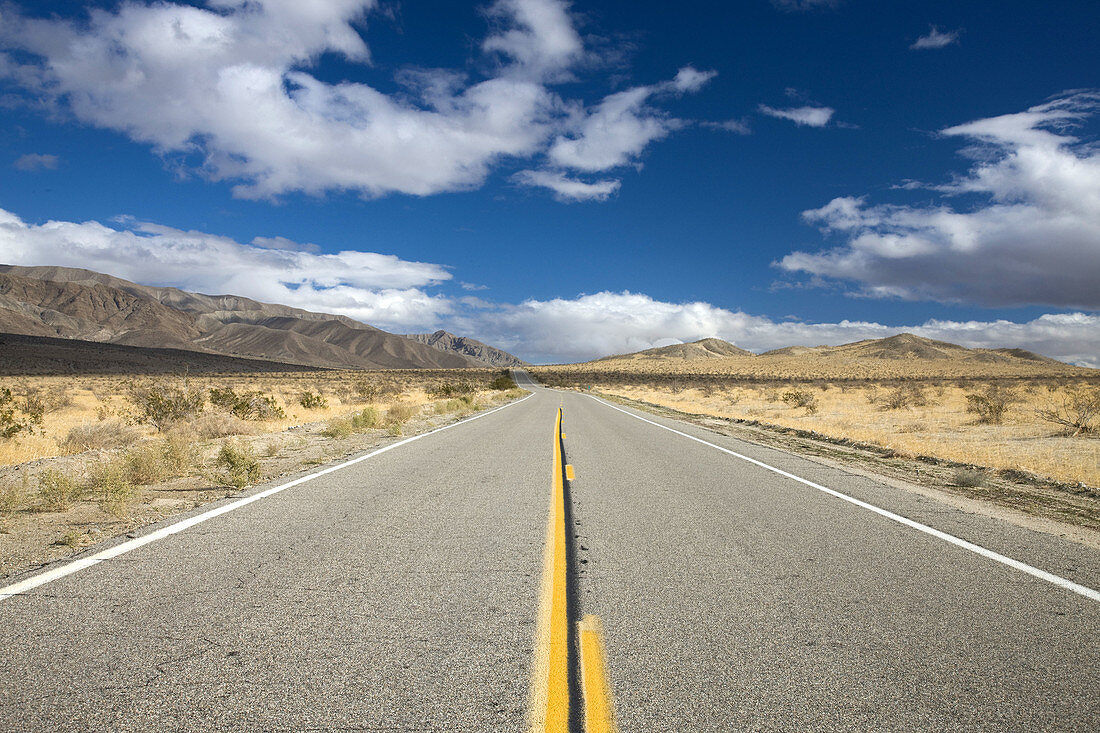 Rt. S22, Anza-Borrego Desert State Park, California, USA