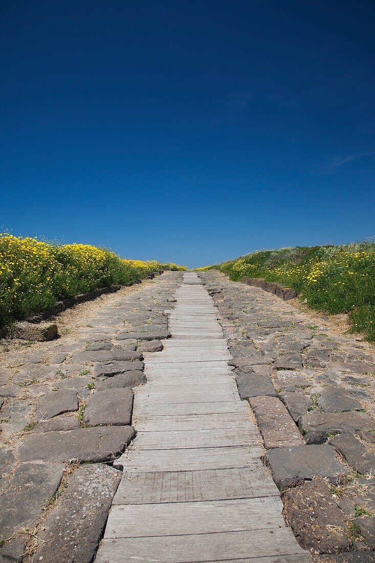 Italy, Sardinia, Oristano Region, Sinis Peninsula, Tharros, ruins of ancient Phoenician city, Cardus Maximus road