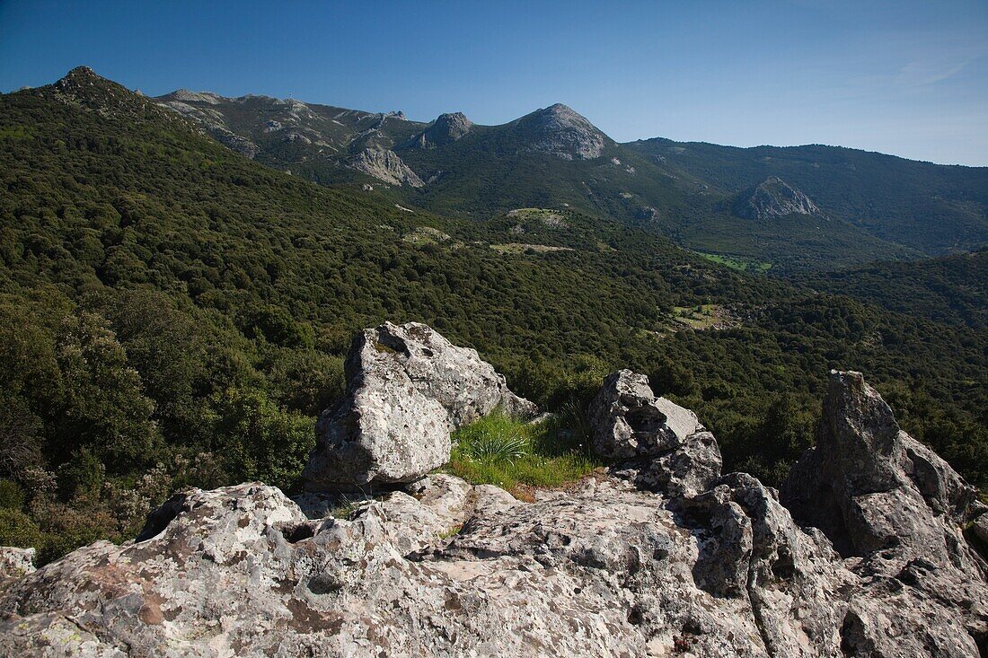 Italy, Sardinia, Western Sardinia, Monti Ferri, highland landscape