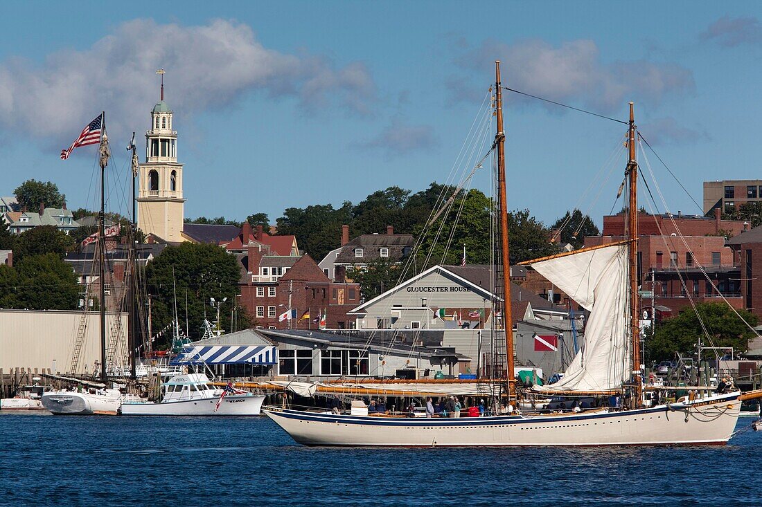 USA, Massachusetts, Cape Ann, Gloucester, Gloucester Harbor, Schooner Tall Ship Festival