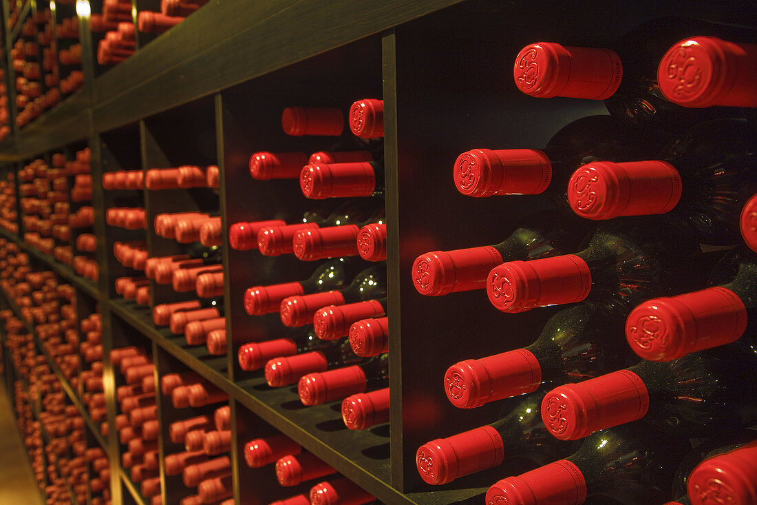 Wine bottles, Comenge winery, Ribera del Duero wine region. Curiel de Duero, Valladolid province, Castilla-Leon, Spain