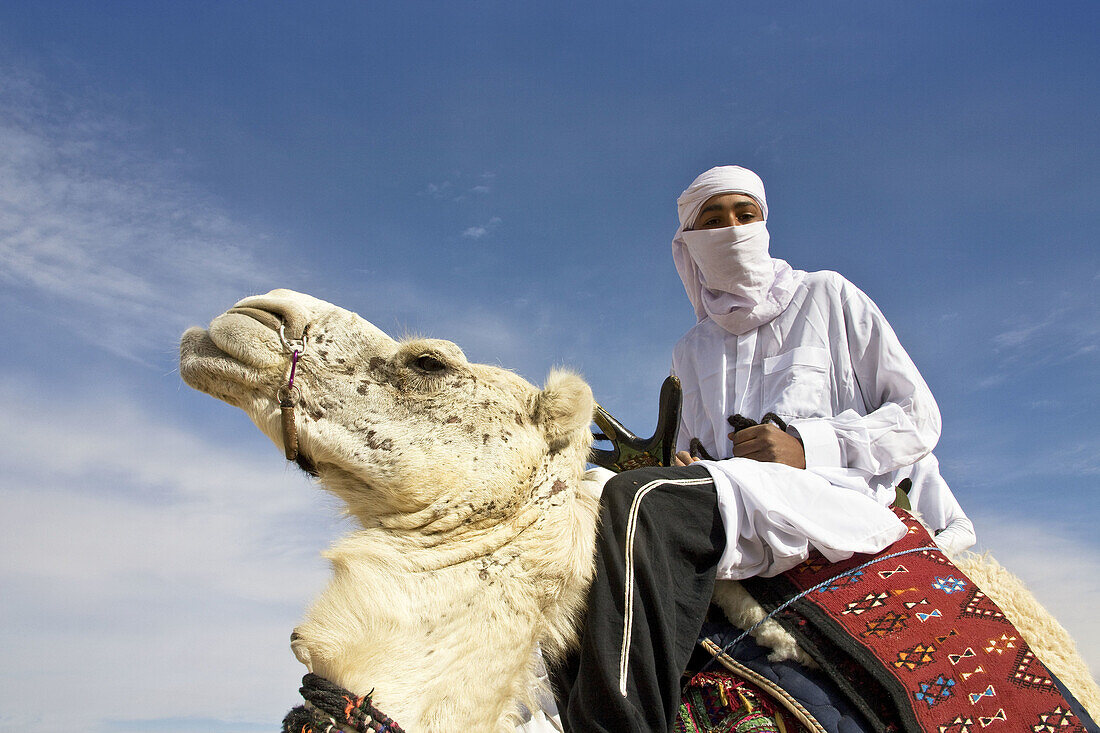 Tourist on camel, Sahara Festival, Douz, Tunisia  December 2008)