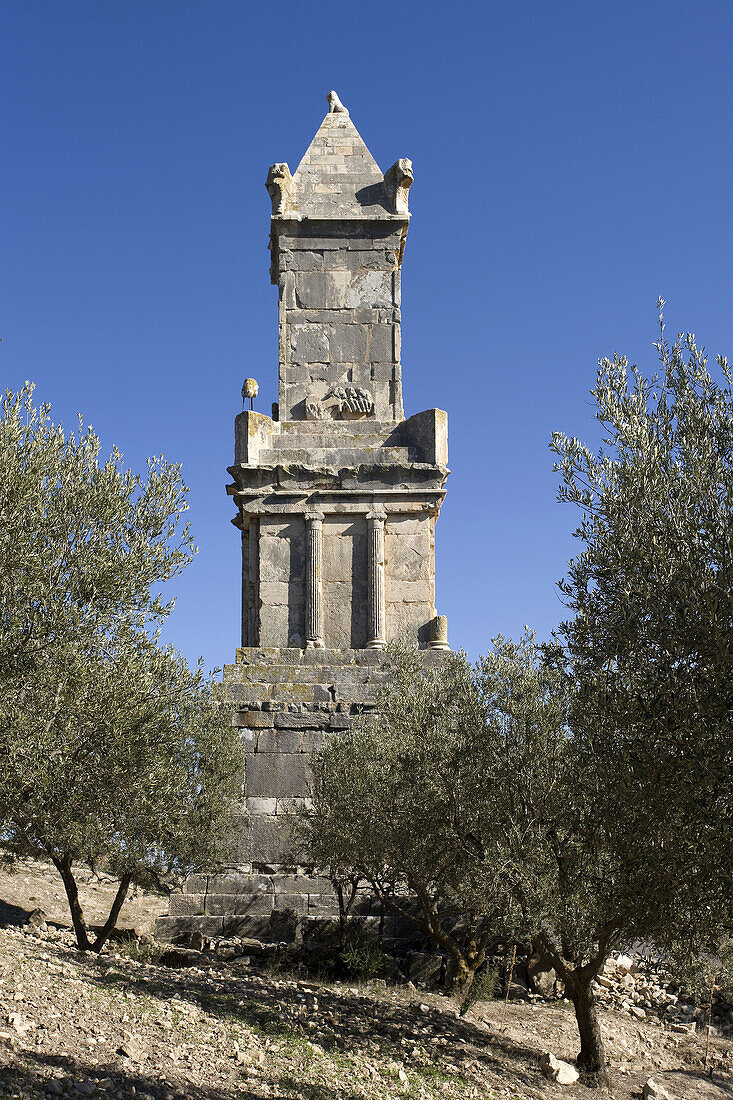 Mausoleum amid olive trees below Dougga City, Roman ruins of Dougga, Tunisia  December 2008)