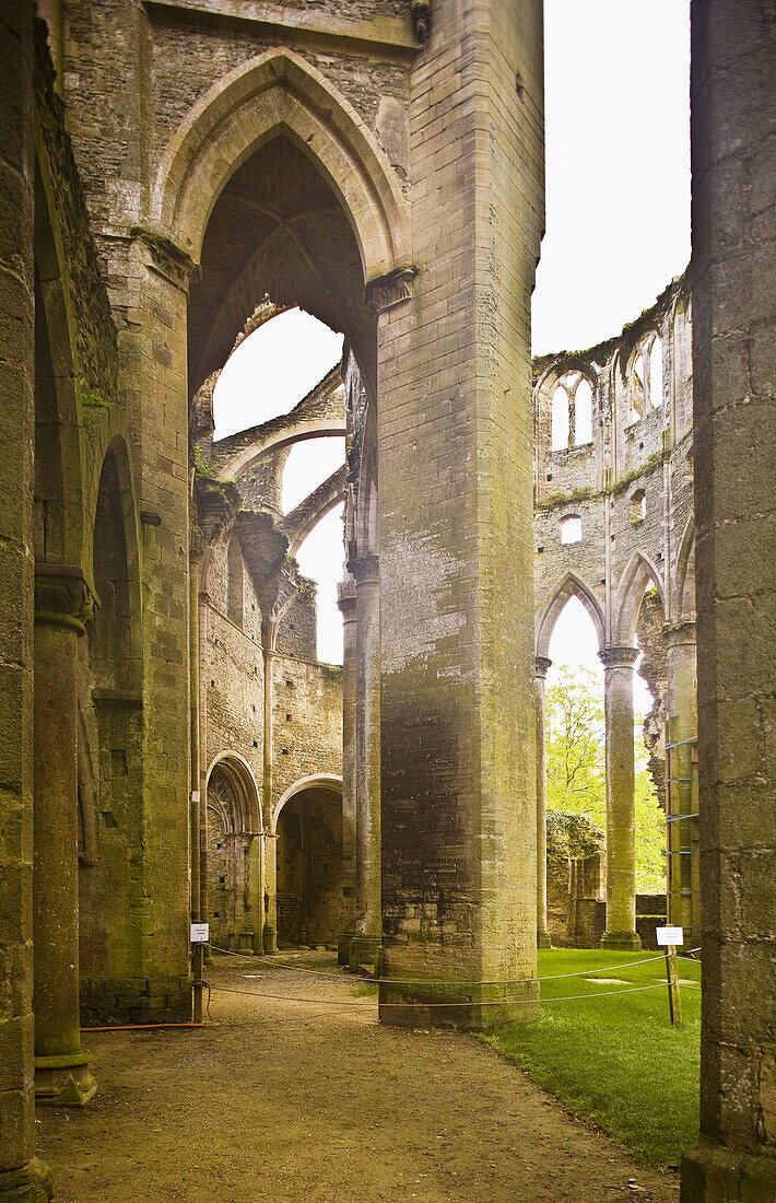 Ruins of church, Notre Dame de Hambye Benedictine abbey, Hambye. Manche, Basse-Normandie, France