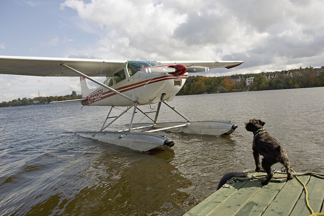 Flying in seaplane above Quebec City at fall, Quebec, Canada