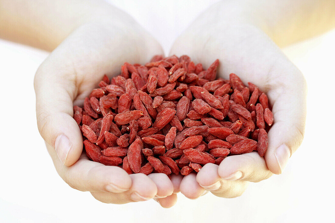 Dried berries of goji  Lycium barbarum)