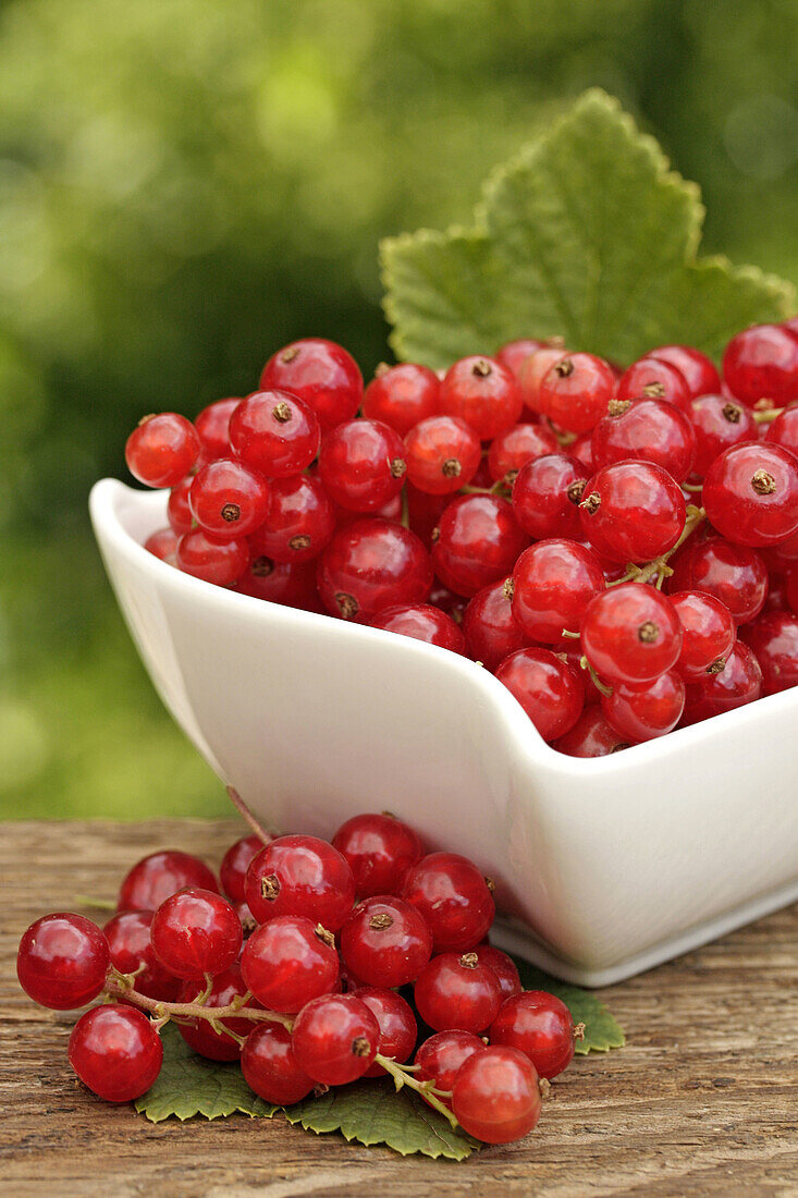 Red currants  Ribes rubrum)