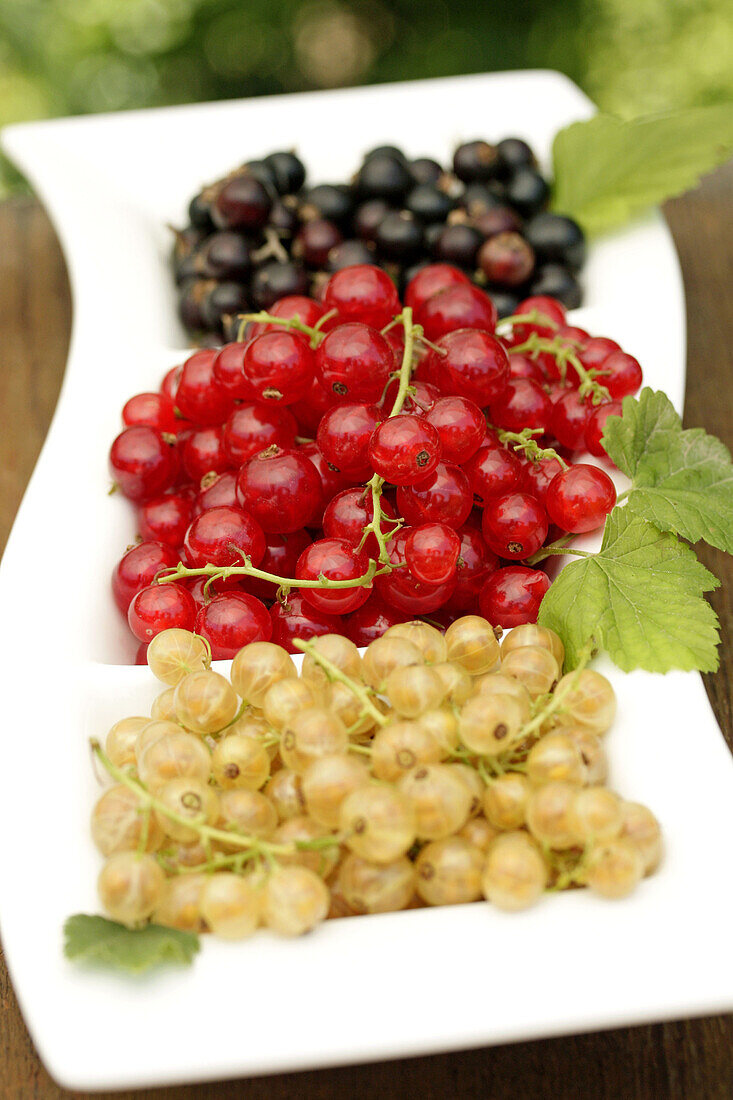 Red currants, black currants, white currants.