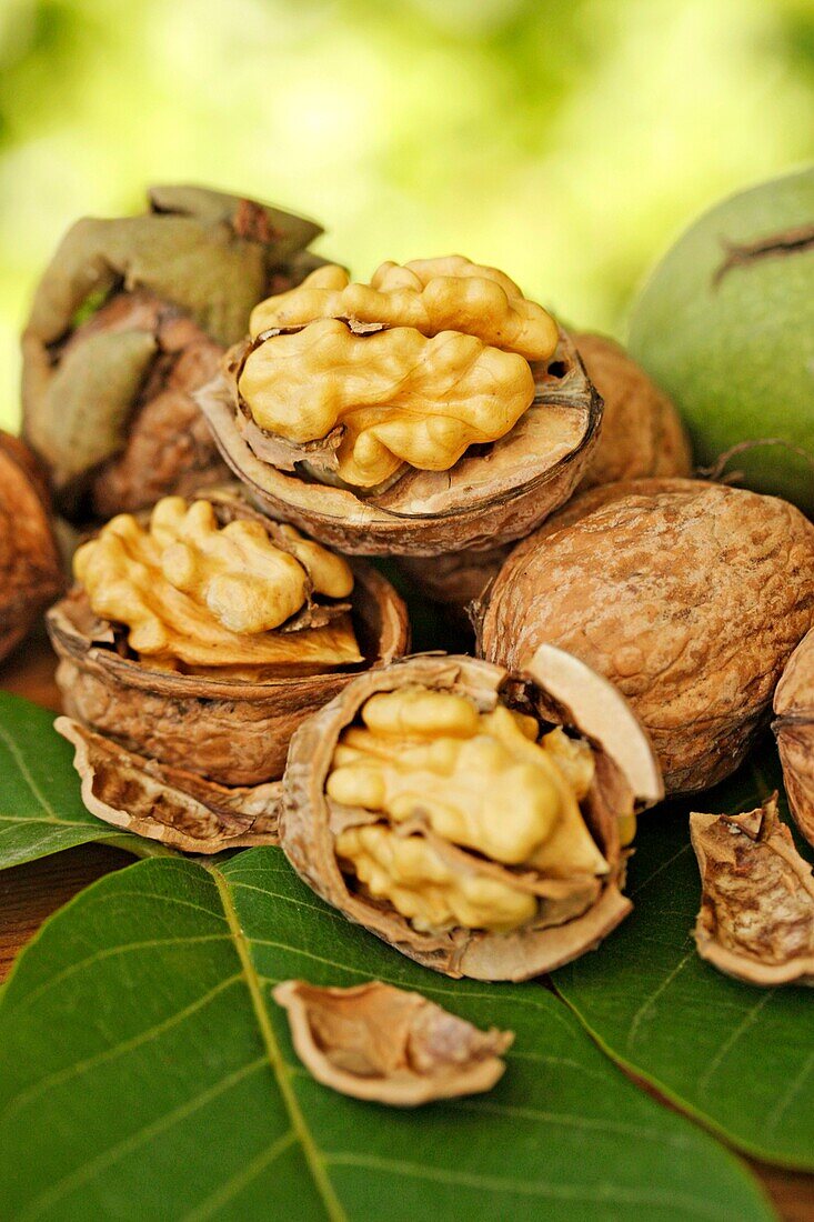 Walnuts