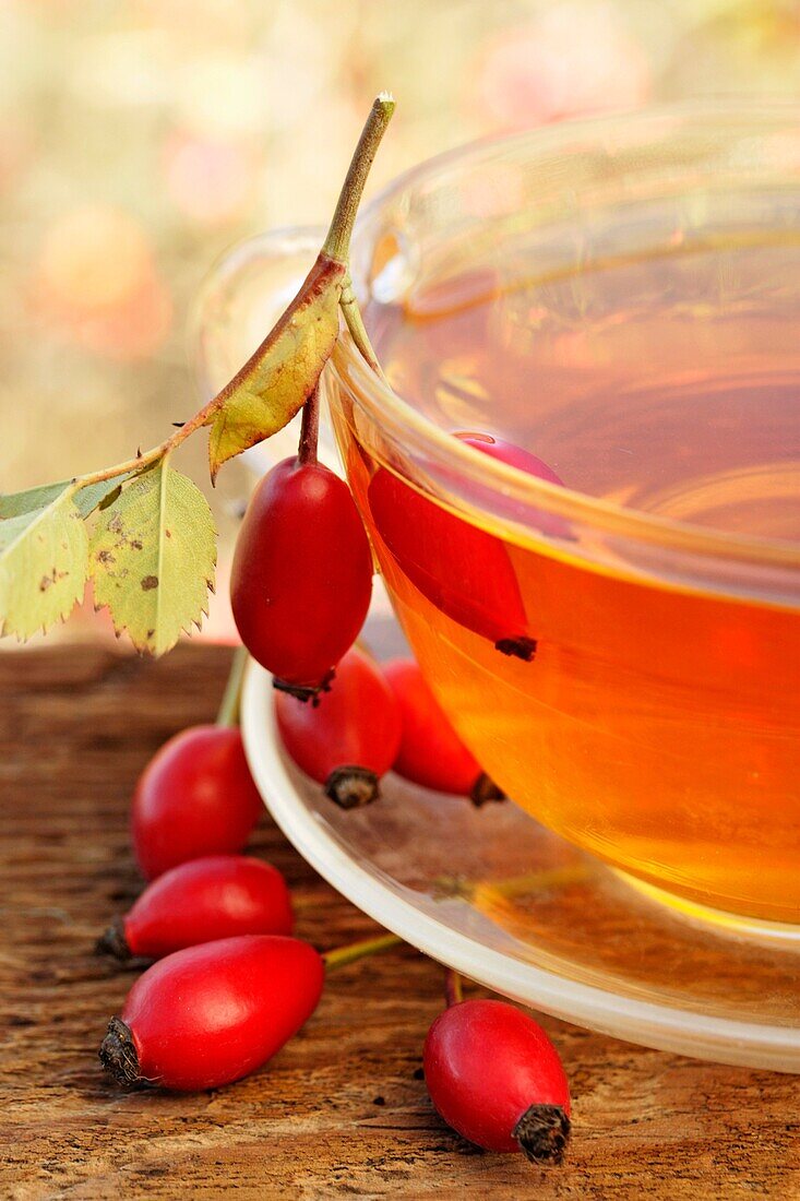 Rose hips infusion, Hagebutte, Hagebutten