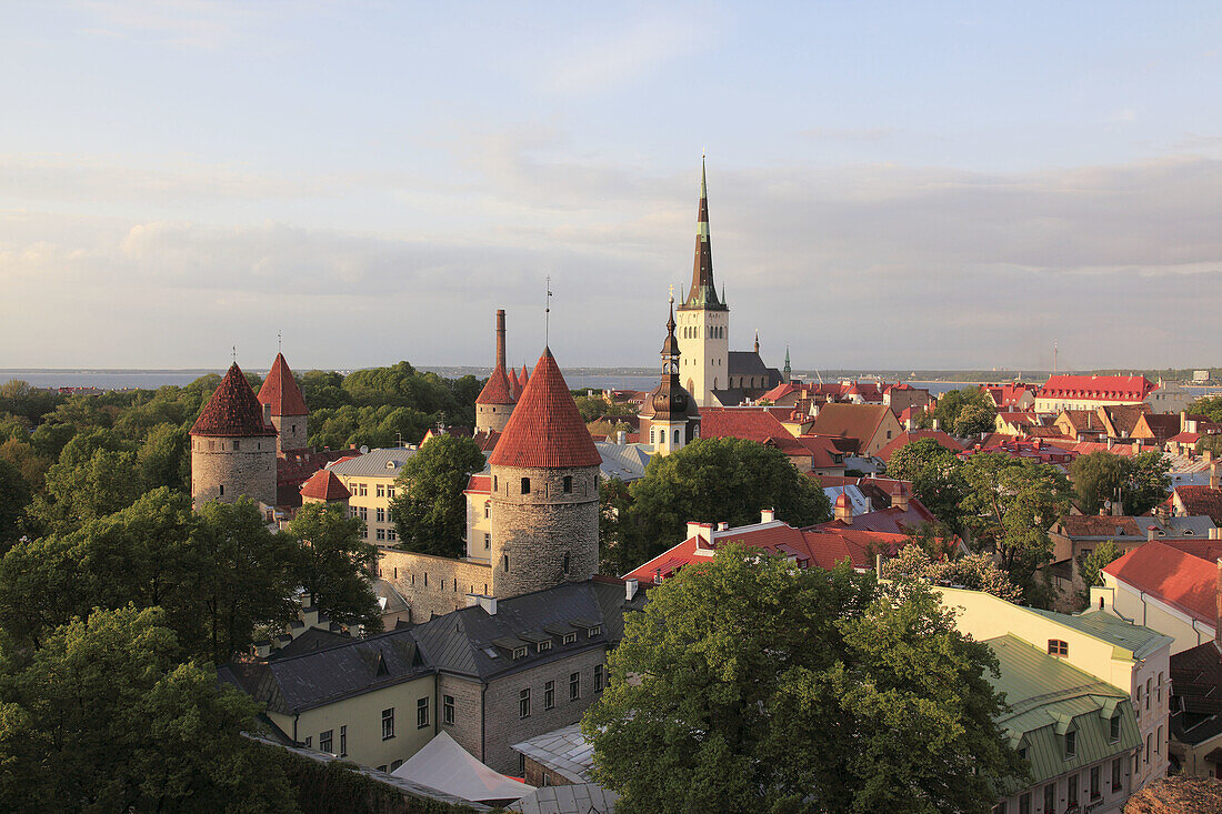 Lower Town City Wall Towers and  St Olav Church, Unesco World Heritage Old Town The 13th Century Tallinn, Republic of Estonia.