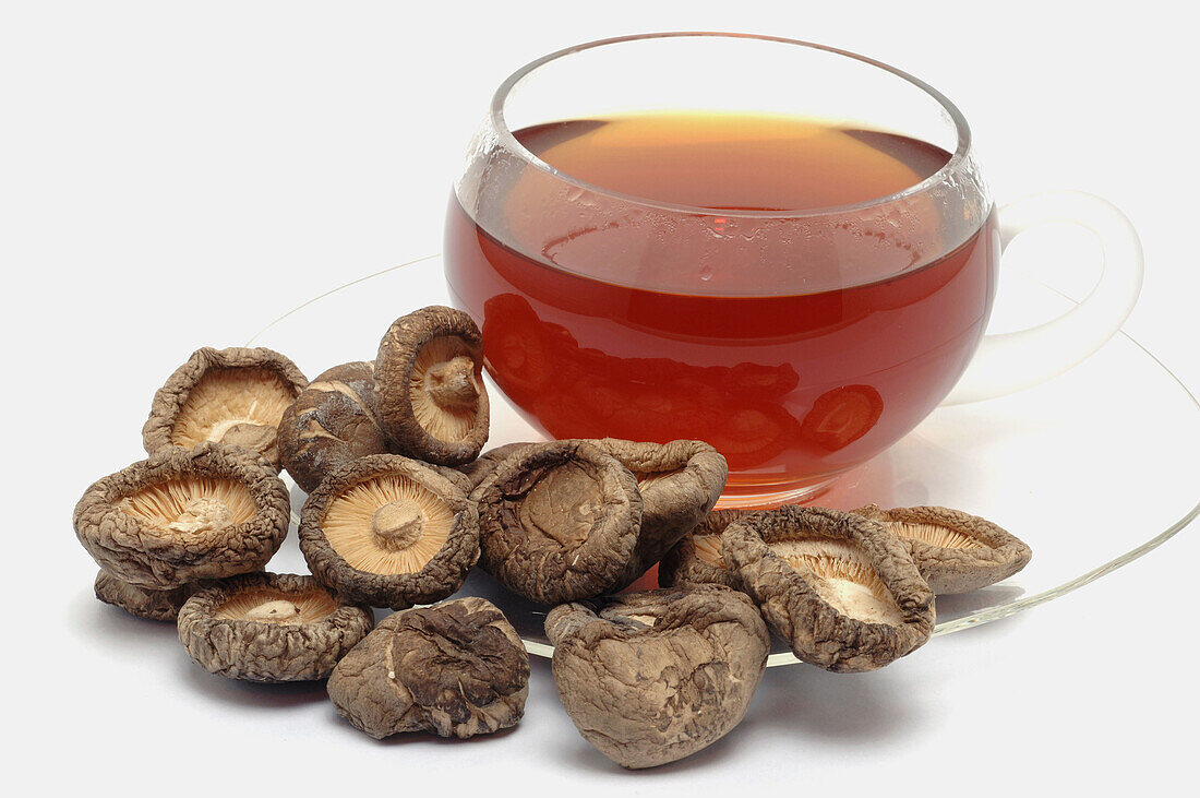 Shiitake, Lentinula edodes, is an edible mushroom native to Asia, used as food and medicinal plant, Shiitaketea