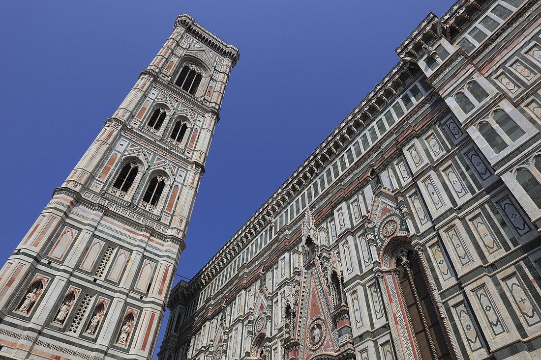 Campanile und Dom Santa Maria del Fiore, Firenze, Florenz, Toskana, Italien / Campanile and Florence Cathedral, Basilica di Santa Maria del Fiore, Firenze, Florence, Tuscany, Italy, Europe