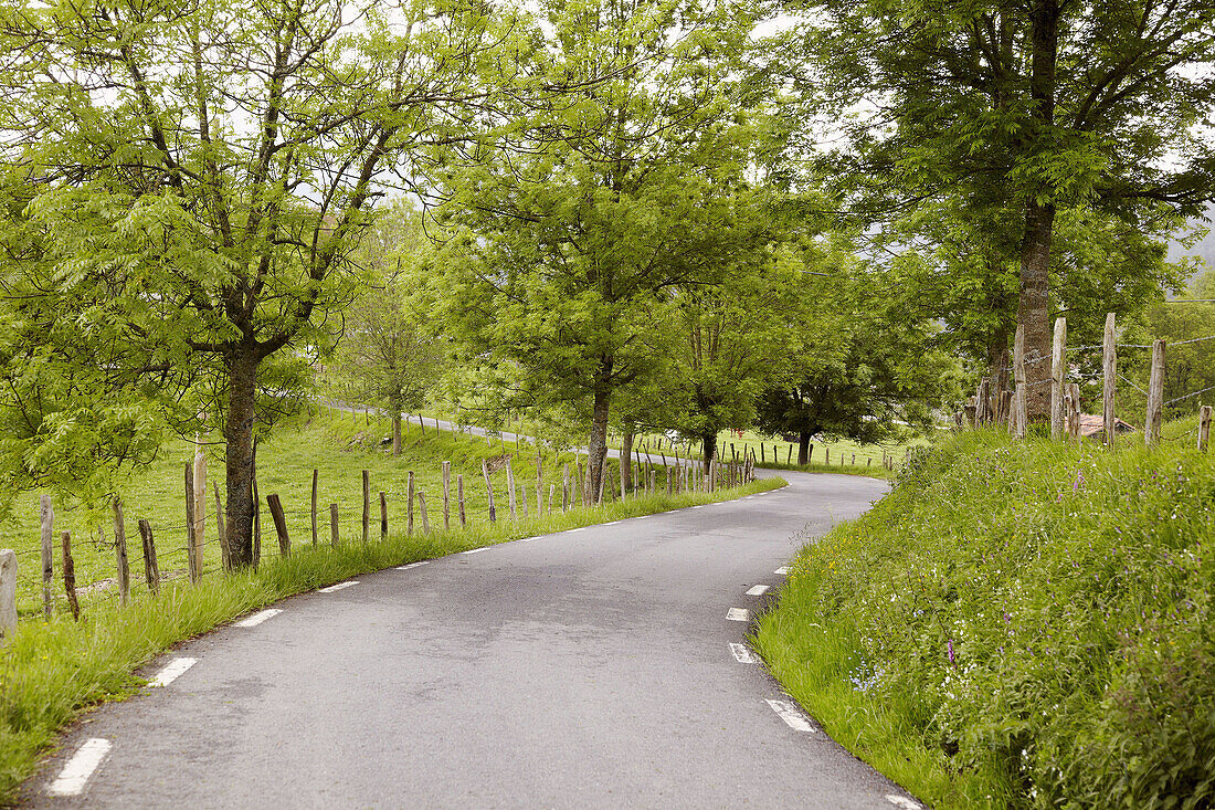 Country road, Elosua, Azkoitia, Guipuzcoa, Basque Country, Spain