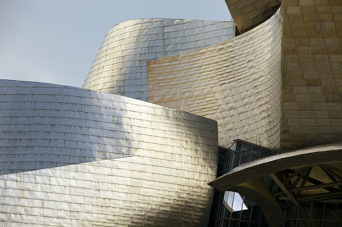 Guggenheim Museum, Bilbao, Biscay, Basque Country, Spain