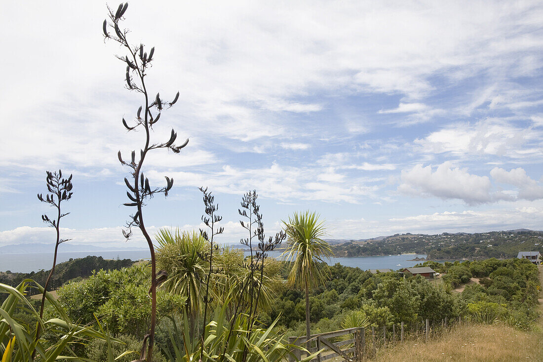 Oneroa, Waiheke Island, Hauraki Gulf, Auckland Province, New Zealand