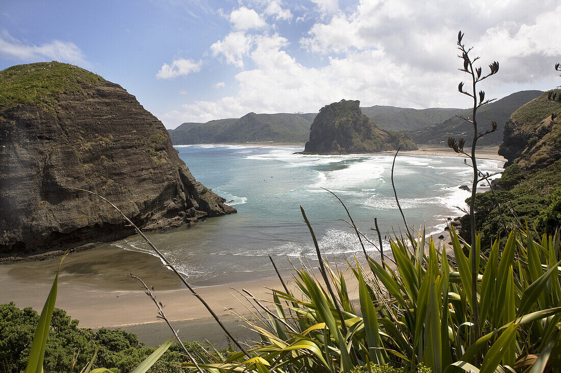 Piha Beach, Auckland Province, Northern Island, Tasmanian Sea, New Zealand