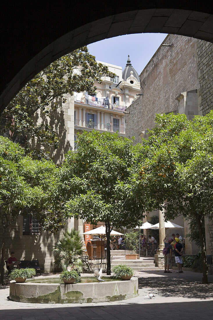 Backyard in Barri Gòtic, Barcelona, Catalonia, Spain