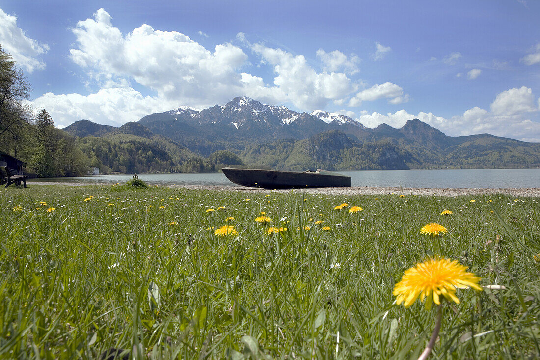 Frühling am Kochelsee mit Herzogstand, Oberbayern, Deutschland