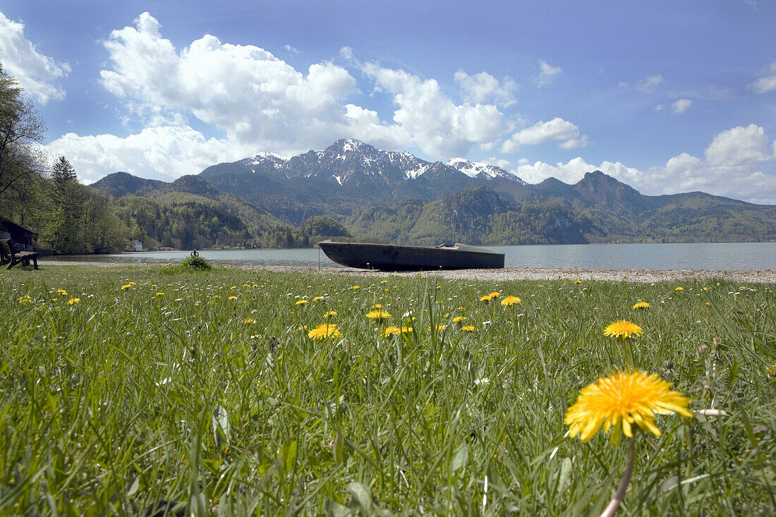 Spring at Lake Kochel with Herzogstand Mountain in the background, Upper Bavaria, Germany