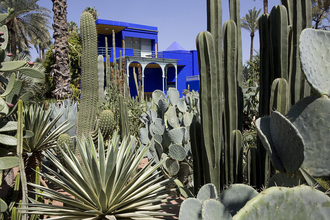 Kobalthaus, La Maison Bleu im Jardin Majorelle, Garten Majorelle, Marrakesch, Marokko