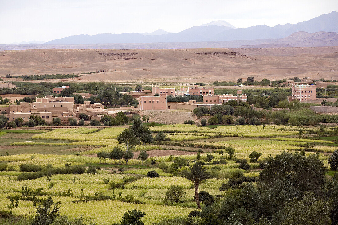 Siedlung bei Tinerhir, Atlas Gebirge, Marokko