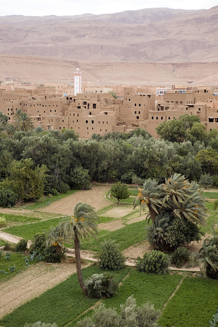 Tinerhir in the Atlas mountains, Morocco