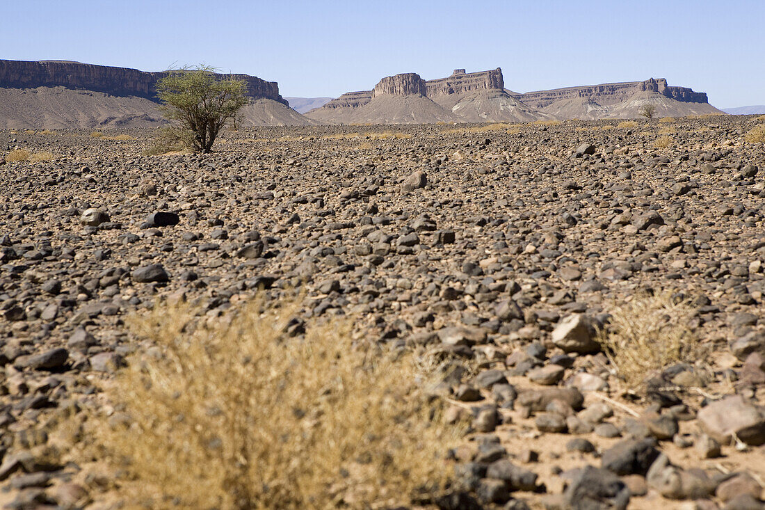 Stone desert near Agdz, South of Morocco