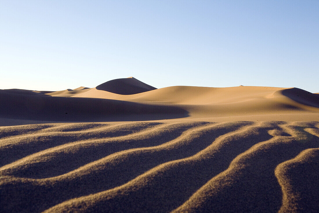 Sand dunes, Dunes de Juifs in the desert near Zagora, Sahara, Morocco