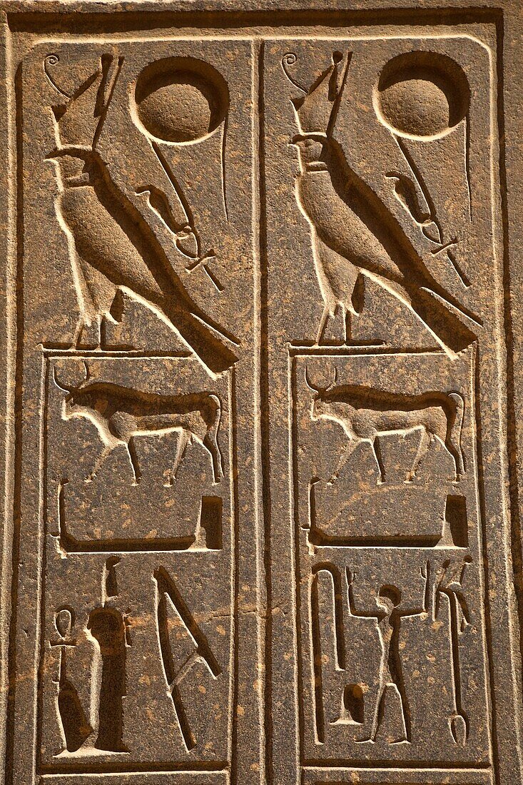 Templo de Luxor, Luxor, Valle del Nilo, Egipto