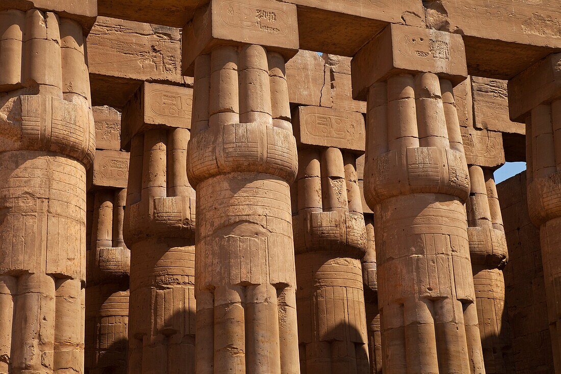 Templo de Luxor, Luxor, Valle del Nilo, Egipto