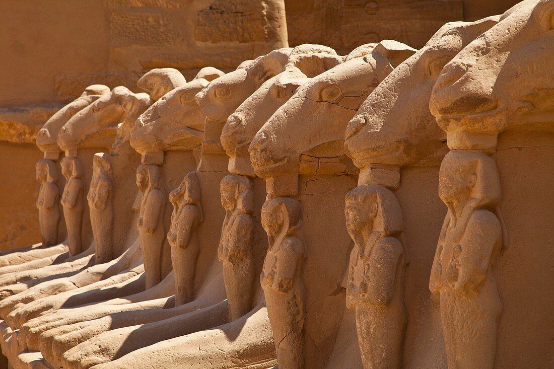 Templo de Karnak, Luxor, Valle del Nilo, Egipto