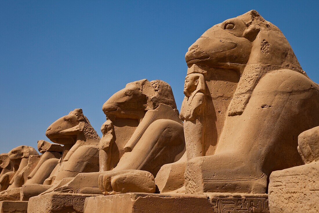 Templo de Karnak, Luxor, Valle del Nilo, Egipto