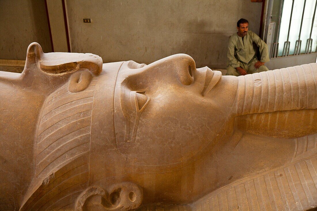 Ramses II,Menfis, El Cairo, Valle del Nilo, Egipto