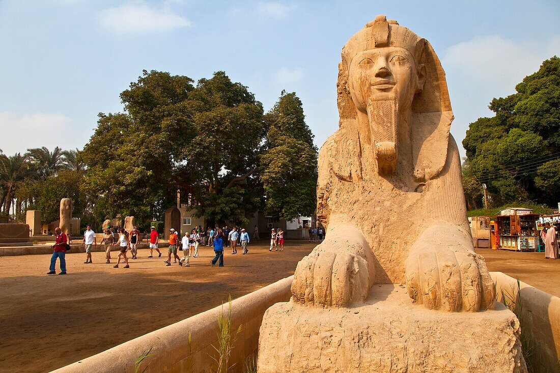 Esfinge colosal de calcita, Menfis, El Cairo, Valle del Nilo, Egipto