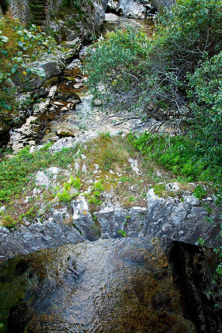 Río Urdón, Cuenca del Deva, Desfiladero de La Hermida, Cantabria