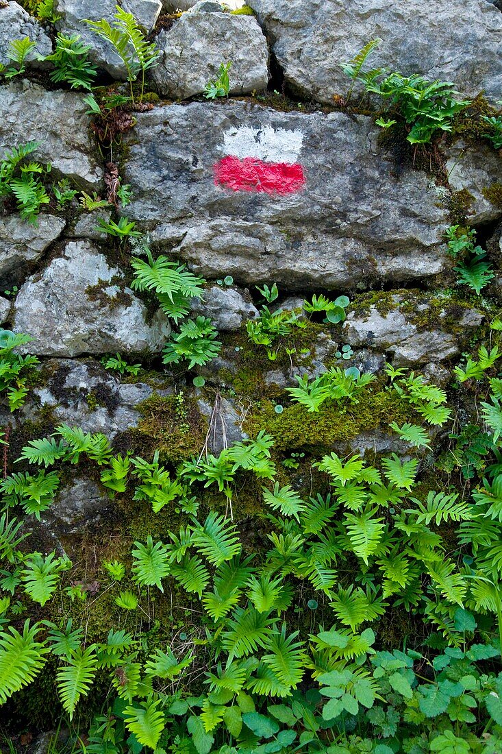 Señalización de GR  Cantabria  España