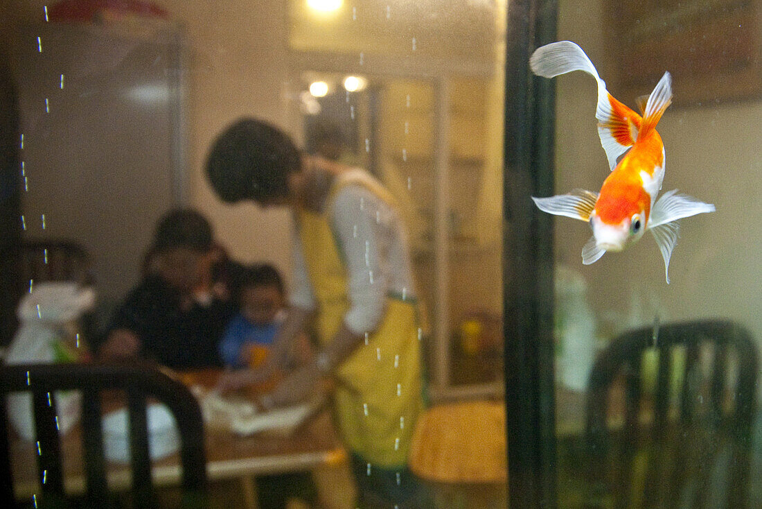 Blick durch ein Aquarium auf junge chinesische Familie, Kunming, Yunnan, Volksrepublik China, Asien