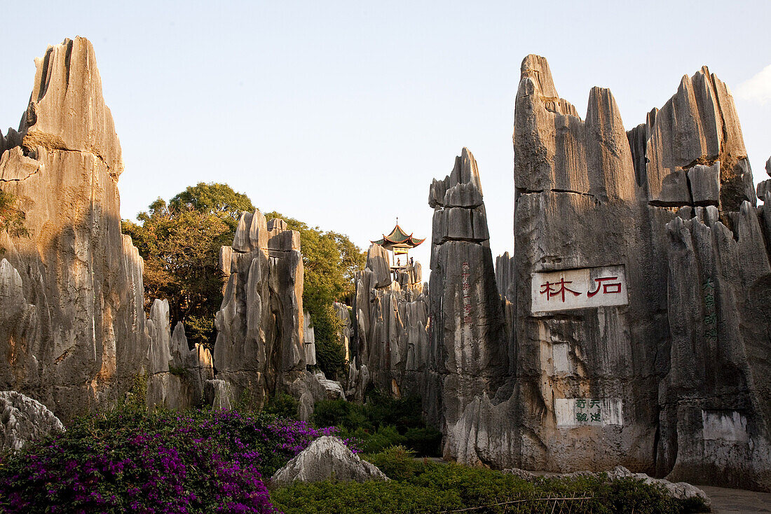 Pavillion above large stone forest, karst formations, Shilin, Yunnan, People's Republic of China, Asia