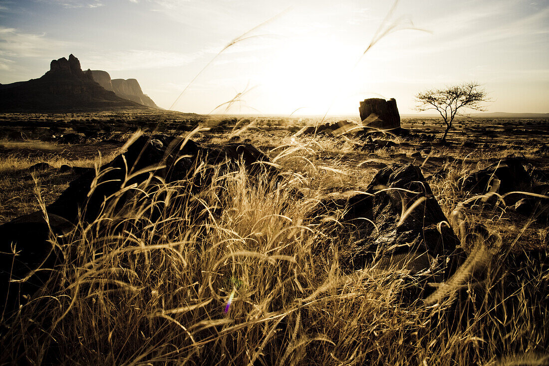 Landscape with rocks at sunset, Mali, Africa