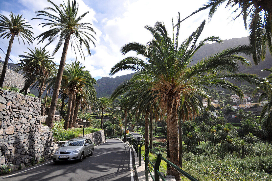 Street and palm trees at Valle Gran Rey, Gomera, Canary Isles, Spain, Europe