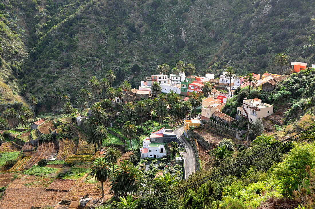 Blick auf Häuser im Tal von Vallehermoso, Nordküste, Gomera, Kanarische Inseln, Spanien, Europa