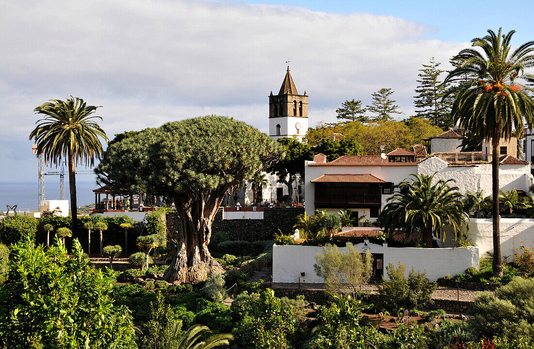 Kirche und Palmen unter Wolkenhimmel, Icod de los Vinos, Teneriffa, Kanarische Inseln, Spanien, Europa