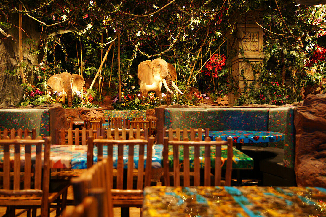 Interior view of the Rainforest Restaurant inside Dubai Shopping Mall, Dubai, UAE, United Arab Emirates, Middle East, Asia