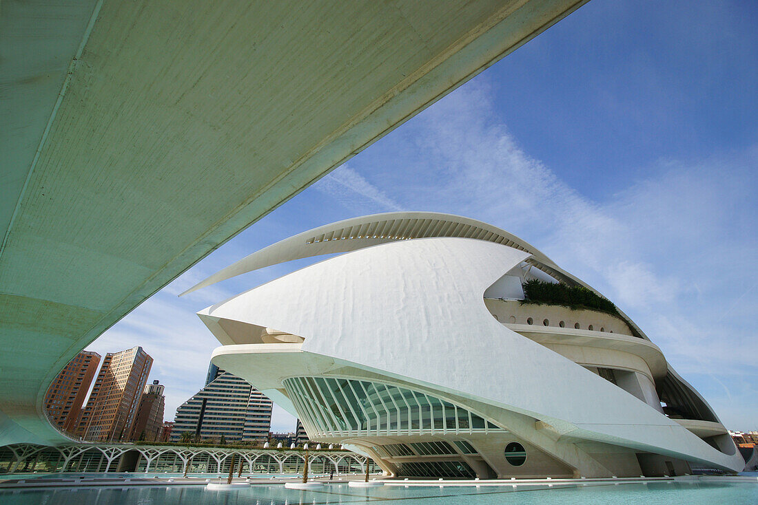 Oper in der Ciudad de las Artes y las Ciencias, Stadt der Künste und der Wissenschaften, entworfen von Santiago Calatrava, Valencia, Spain, Europa